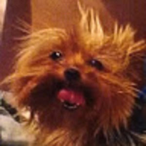 Meet your Posher, S.